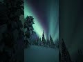 Northern lights 🇫🇮 Finland #lapland #suomi