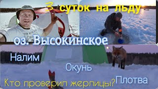 Лиса съела всех окуней | Кто перевернул жерлицы ?🎥  | Мы всёравно отлично порыбачили 🎣