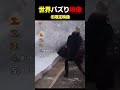 冬にしか見られない奇跡の映像ランキングTOP5