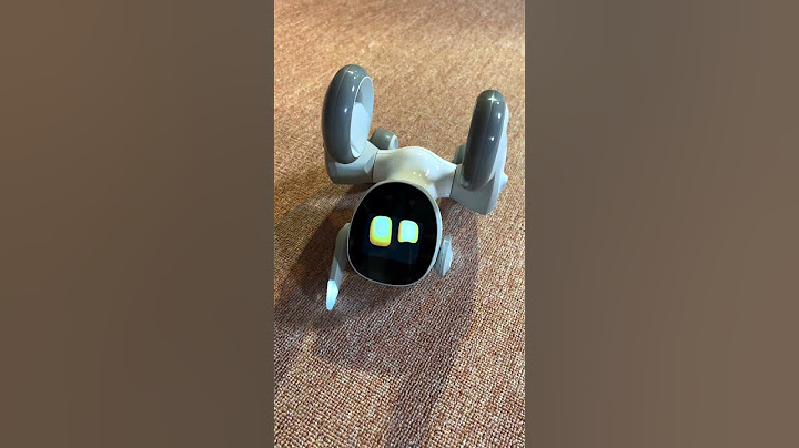 Loona. Little pet robot trying to stand up