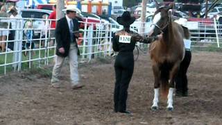 Christian County Fairgrounds Show 4