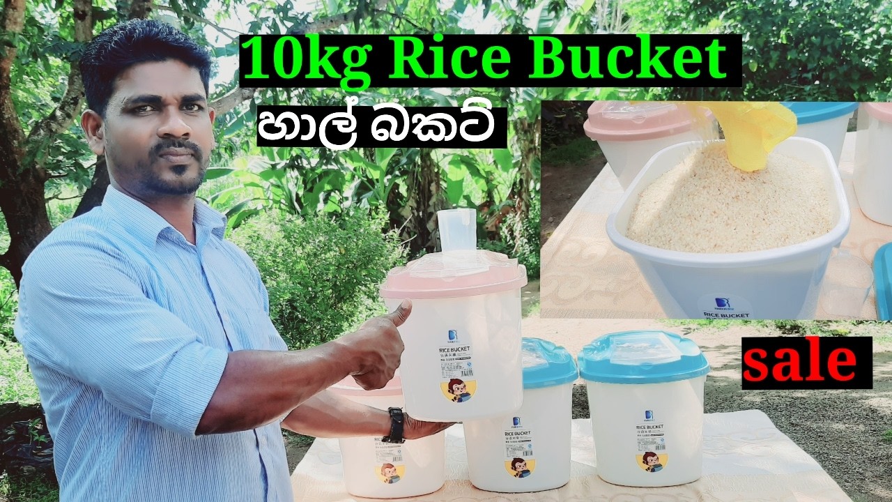 Indian Rice Bucket 10kg Rice Bucket හාල් 10kg දාන්න පුළුවන් දාන්න ගන්න දෙකම ලේසියි ලස්සන ...