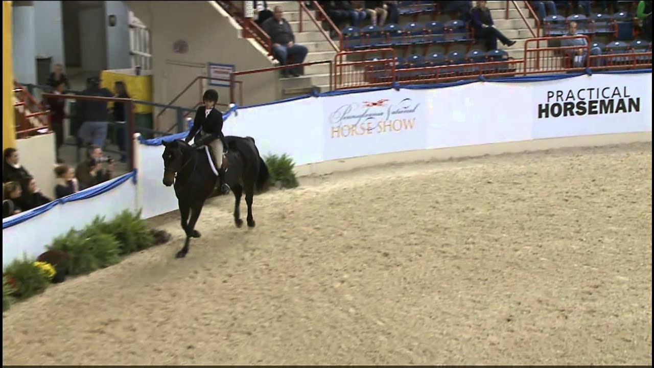 26 HOUDINI Heather Yarnell Adult Amateur Hunter 18 35 Round 2 YouTube