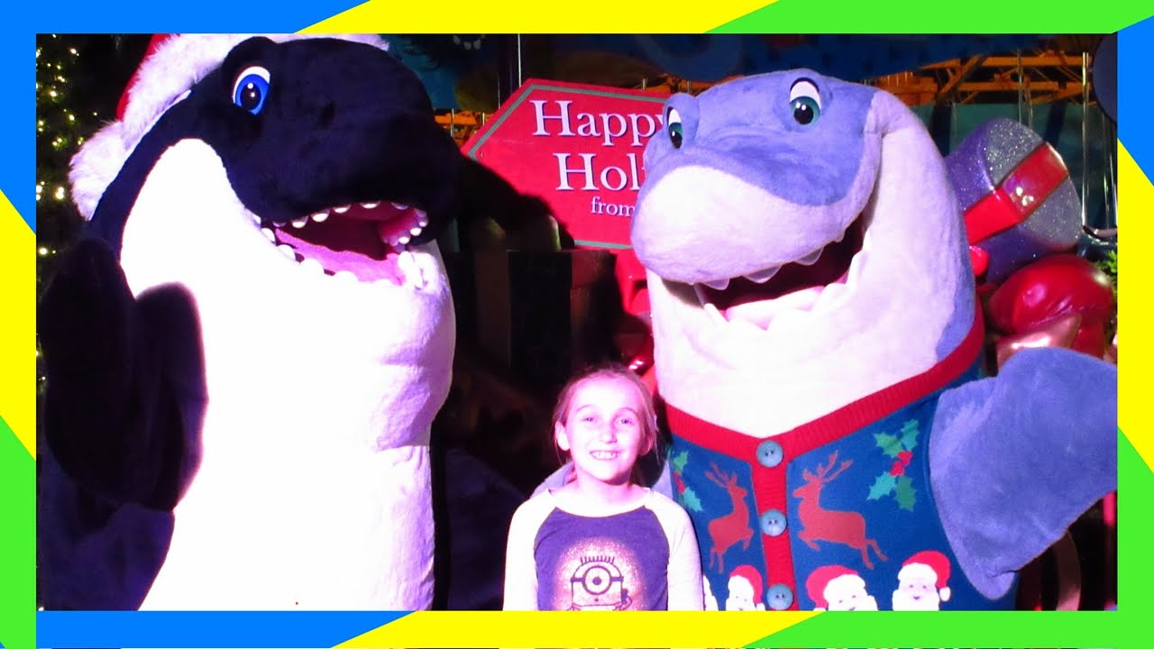 SEA WORLD CHRISTMAS CELEBRATION! YouTube