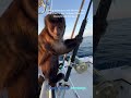 Monkey Toby’s fishing adventure Full video right here in our YouTube channel #monkeys #love #fishing