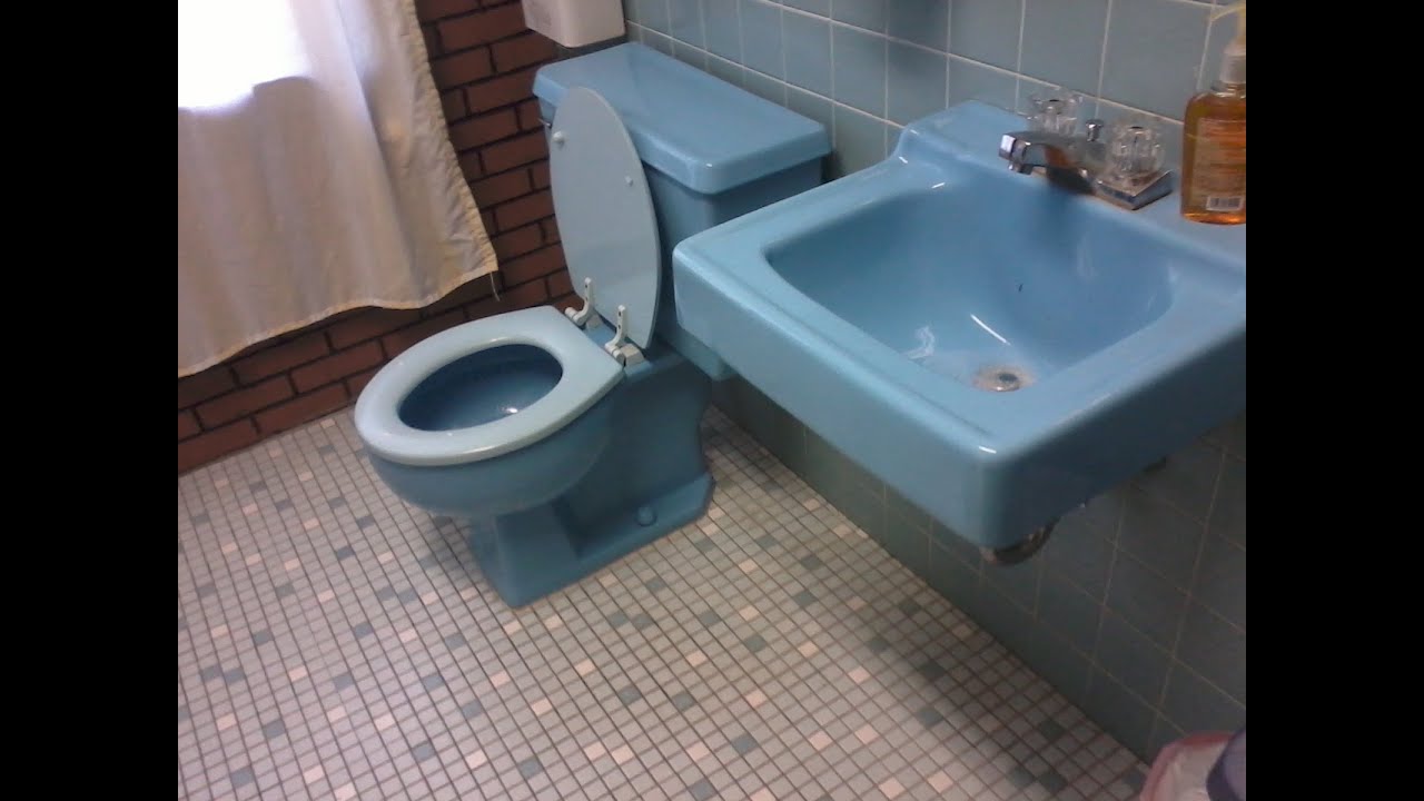 Blue Kohler Toilet 48