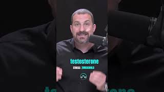 HOW TESTOSTERONE INCREASES RISK TOLERANCE | Andrew Huberman