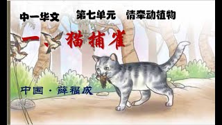 中二华文单元七一 猫捕雀 下篇 Youtube 中二华文单元七一 猫捕雀 下篇 Youtube