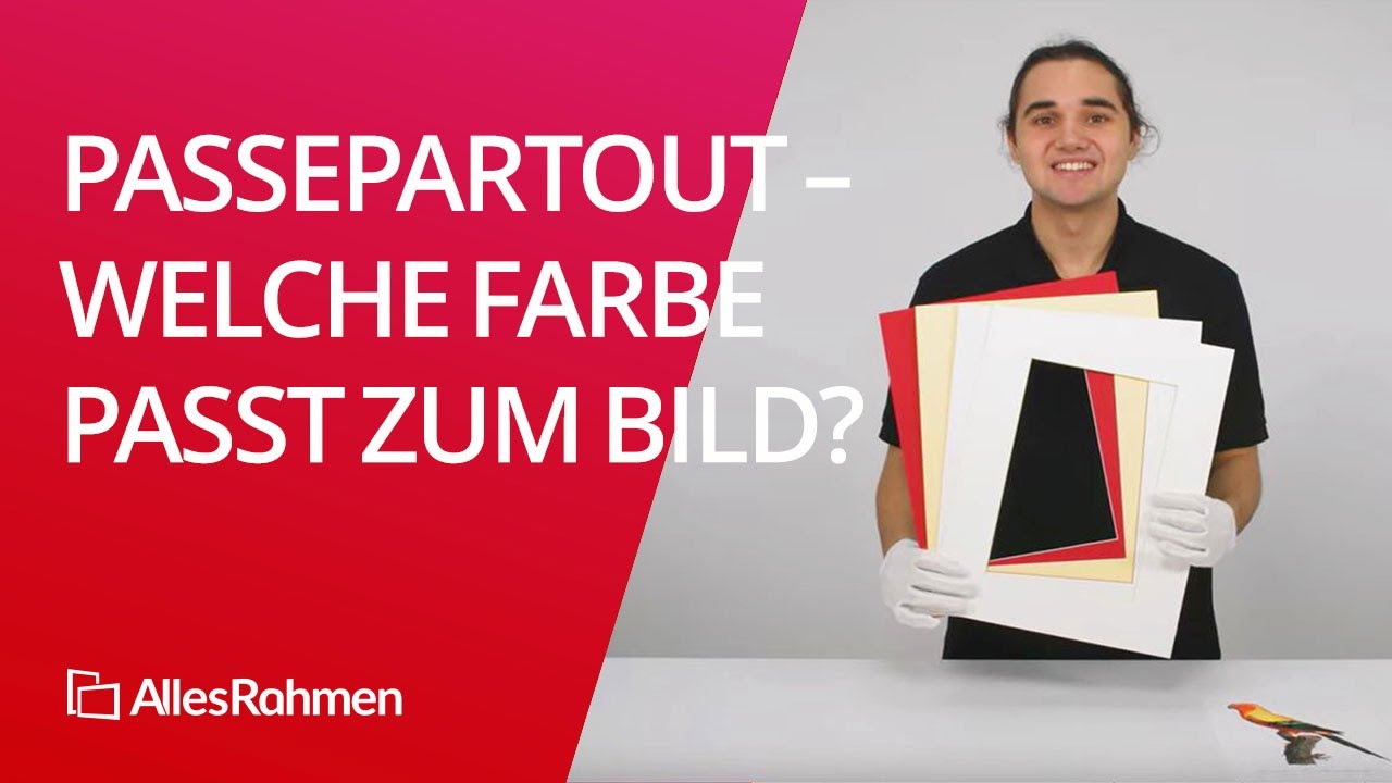 Passepartout – welche Farbe passt zum Bild❔