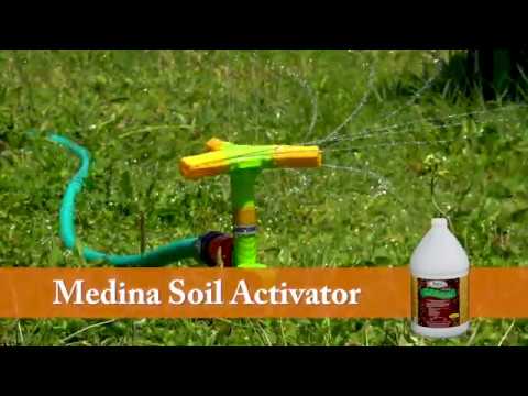 Video: Ի՞նչ կա Medina Soil Activator-ում: