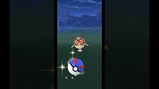 Pokemon go catch 100 IV Hoothoot|Pokemon go 100 IV Hoothoot evolution|Pokemon go 100 IV Hoothoot|💯IV