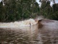 surfing on the river "The exciting Bono Pelalawan, Riau, Indonesia