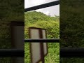 train view