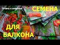 Семена для огорода на балконе