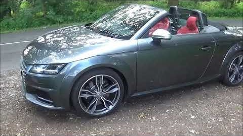 Audi TTS 8S SAT NAV activation Cocker Spaniel Road Trip