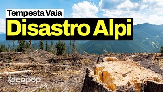 14 milioni di alberi abbattuti e 3 miliardi di euro di danni, analizziamo la Tempesta Vaia del 2018