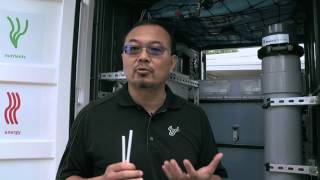USF's Dr. Daniel Yeh Talks About the NEWgenerator