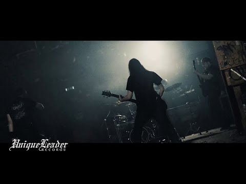 Ingested - Invidious (OFFICIAL VIDEO)