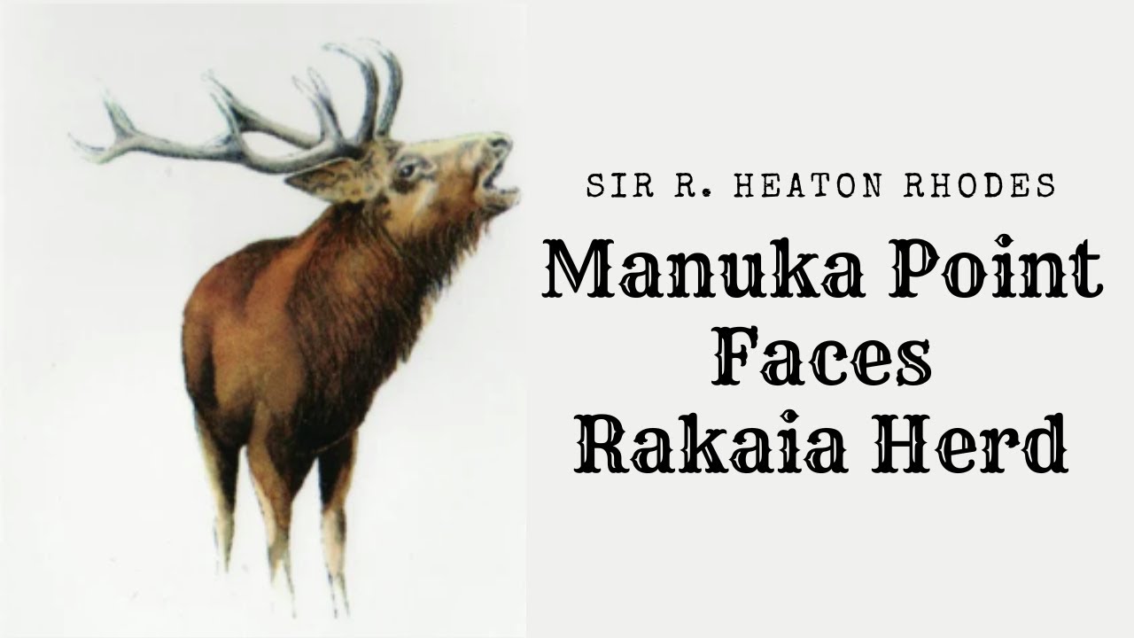 The Rakaia Herd Sir R  Heaton Rhodes; Manuka Point Faces, Rakaia Valley 1908