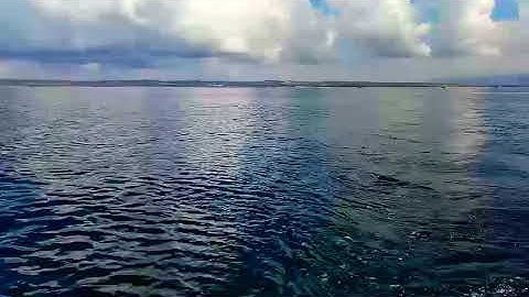 Theo ghe đi câu tại Biển Phan Rí Cửa