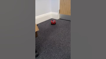 Testing a simple stop routine with magician chassis and sharp IR sensor