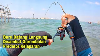 LUAR BIASA‼️ Saya Yakin Anda Pasti Juga Pengen Mancing Disini, Datangnya Gerombolan Ikan Langka