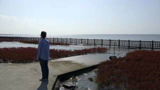 佐賀市東与賀町の『干潟よか公園』