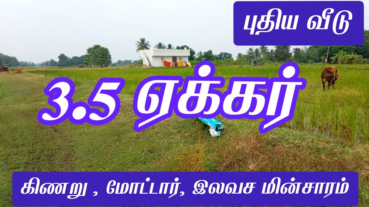 3.5 ஏக்கர் புஞ்சை நிலம் Agriculture land for sale low budget land
