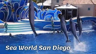Sea World San Diego | San Diego Zoo Safari Park