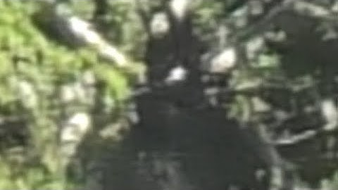 Caught " Connected To The System "  Possible Orb/Fairy Caught Flying