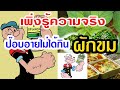 POPEYE ความจริงป๊อบอาย ไม่ได้กินผักขม ( ผักขม หรือ ผักโขม ) สารพัดประโยชน์