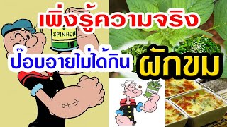 POPEYE ความจริงป๊อบอาย ไม่ได้กินผักขม ( ผักขม หรือ ผักโขม ) สารพัดประโยชน์