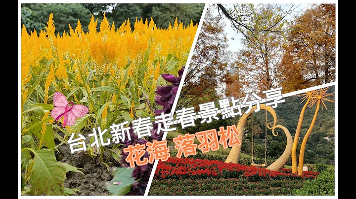 新春走春台北景点分享 花海 落羽松 春节走春 亲子旅游 - 天天要闻