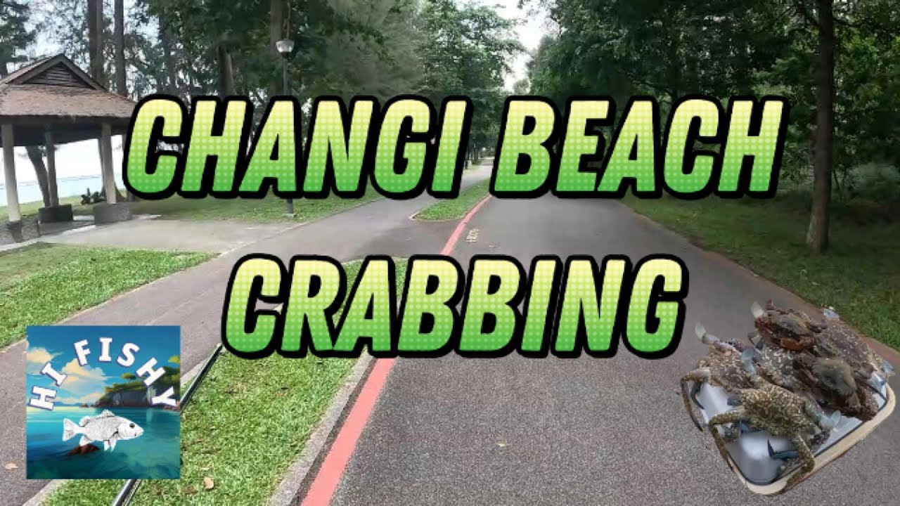 Crabbing at Changi Beach, Singapore. 新加坡樟宜海滩捕蟹之旅。