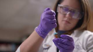 Biology at FranU Biology at FranU