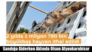Zalim Zalim Afyonkarahisar