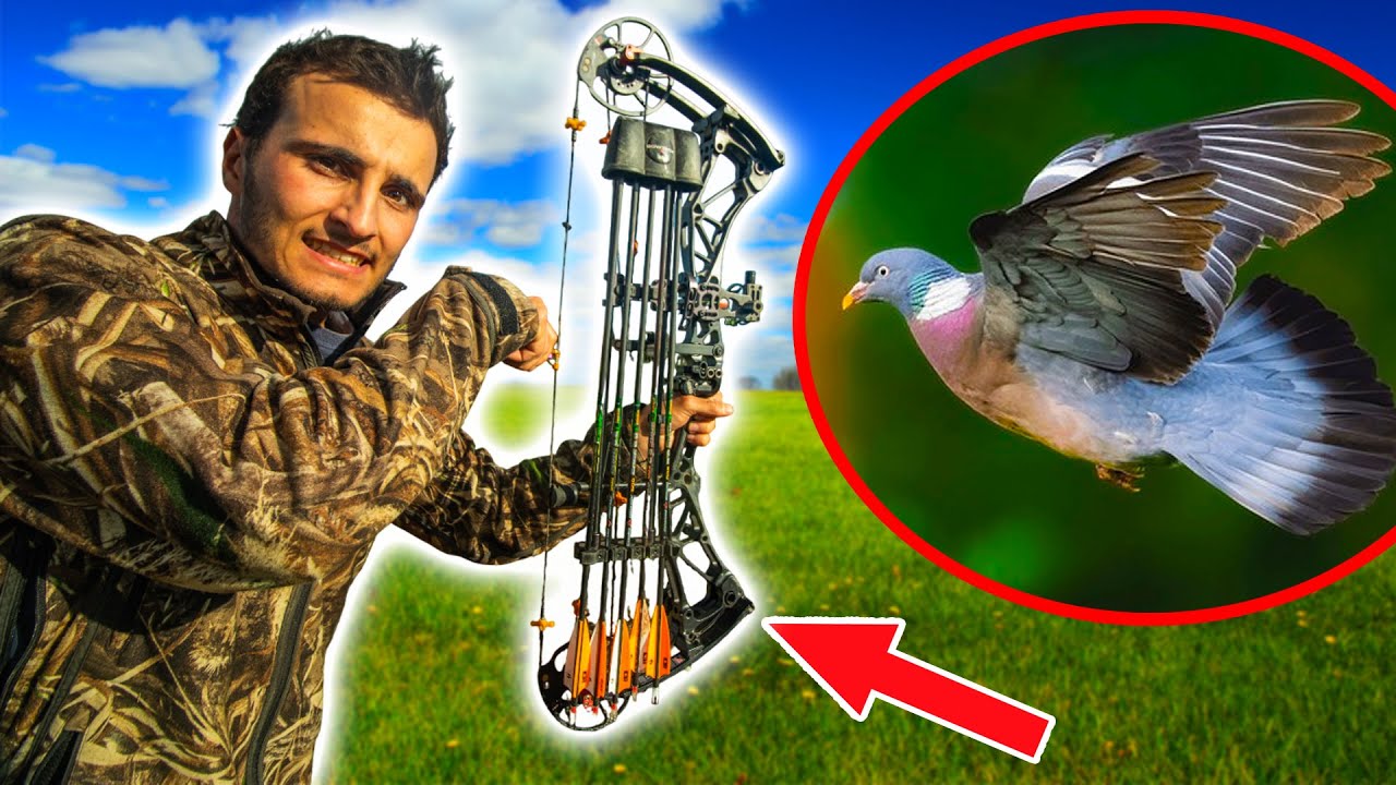 Tir à L'arc 3D Pigeon Leurre Flèche Cible Animal Pratique Tir