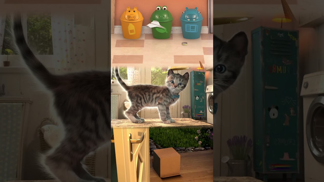 LITTLE KITTEN ADVENTURE AND FUN CAT AND PET CARE - NEW CARTOON VIDEO