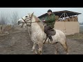 7000 долларлык 🐴 КӨК ЖАЛ сатылат  |  БУЛЬДОЗЕР  |  Ээси менен байланыш 👇