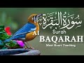 #Surah Al Baqarah live#dailycooking888#Daily routinei#Mydailyroutineinpakistan#