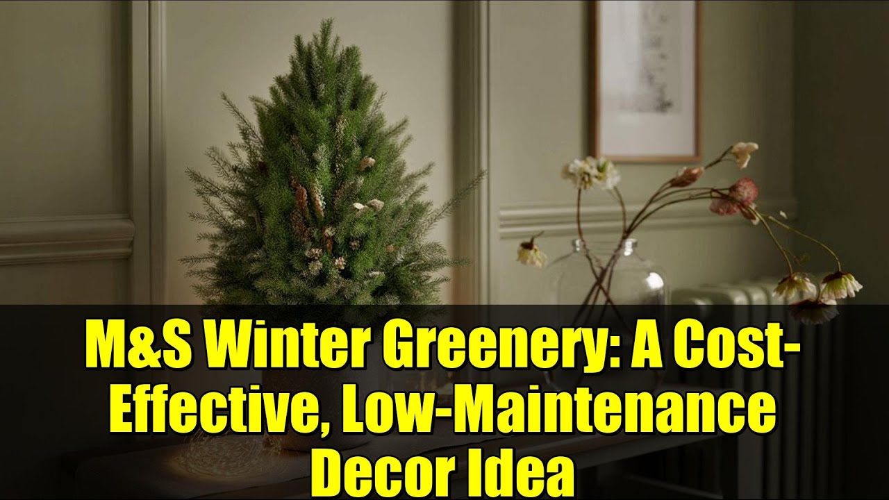 M&S Winter Greenery: A Cost-Effective, Low-Maintenance Decor Idea