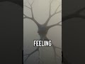 Your brain cleans itself #sleep #science #wellness