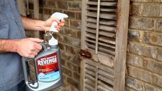 Miss Muffet s Revenge 12 Month Spider Killer