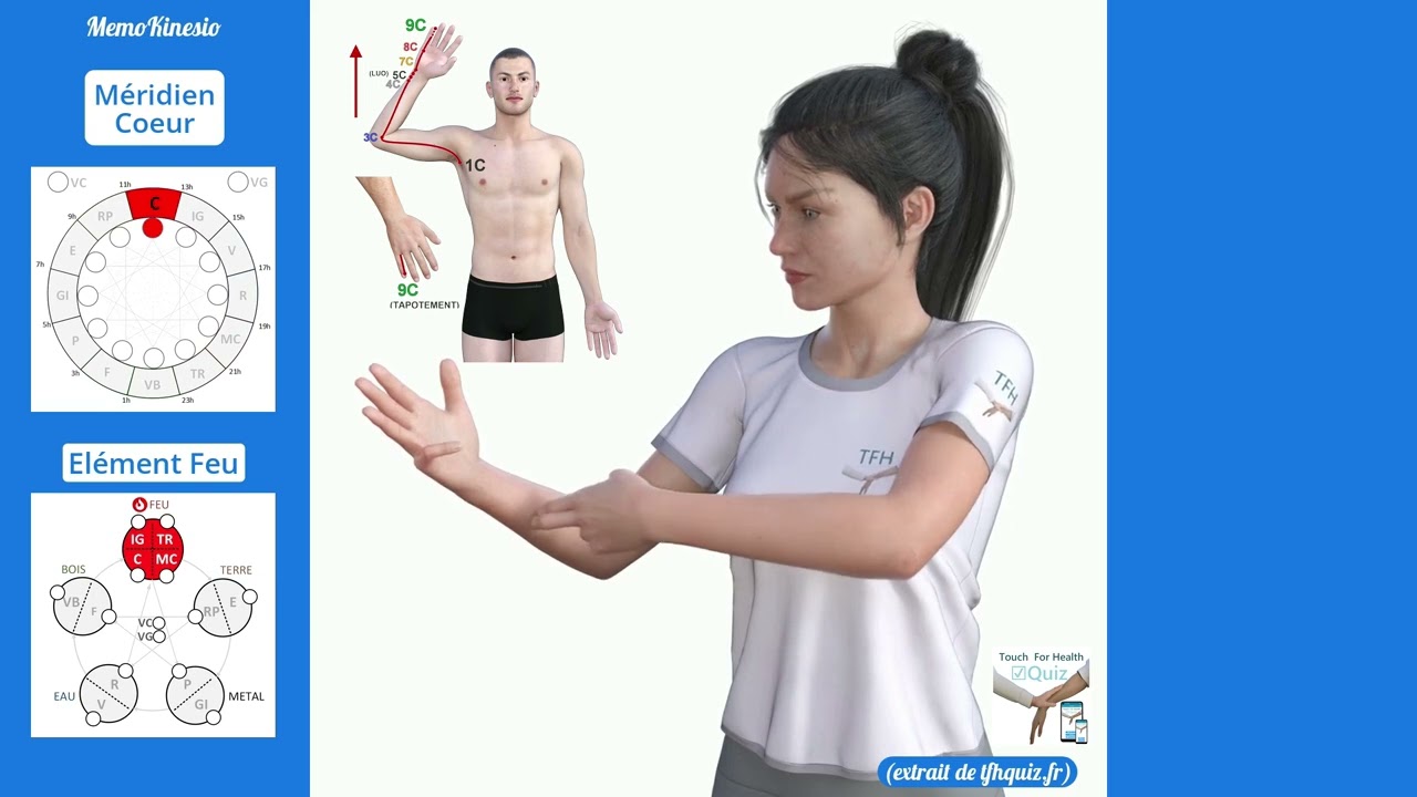 Mémo Méridiens : le trajet des 12 méridiens et 2 vaisseaux (Médecine Traditionnelle Chinoise)