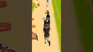 wolf evolution and epic run 😎