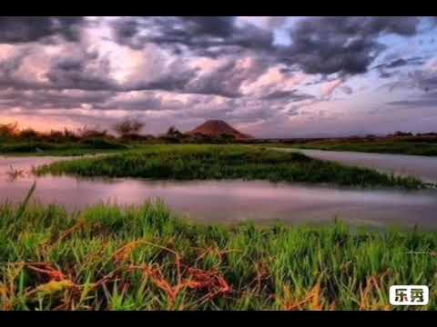 قل متاع الدنيا قليل والآخرة خير لمن اتقى ولا تظلمون فتيلا ماهر