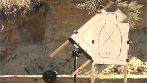 Brownells - Action Targets - PT Swinger