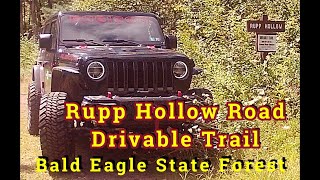 Rupp Hollow Road is a entertaining drivable trail inside Bald Eagle State Forest