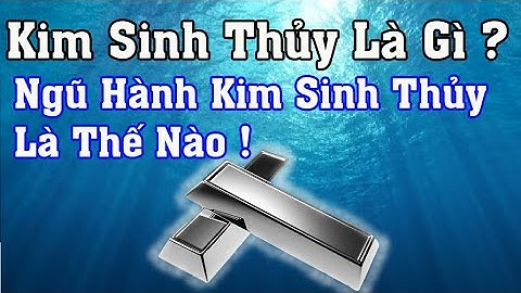 Kim sinh thủy nghĩa là gì năm 2024