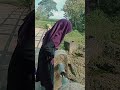 ciri ciri sungai bebatuan yang mengandung emas yang lagi viral